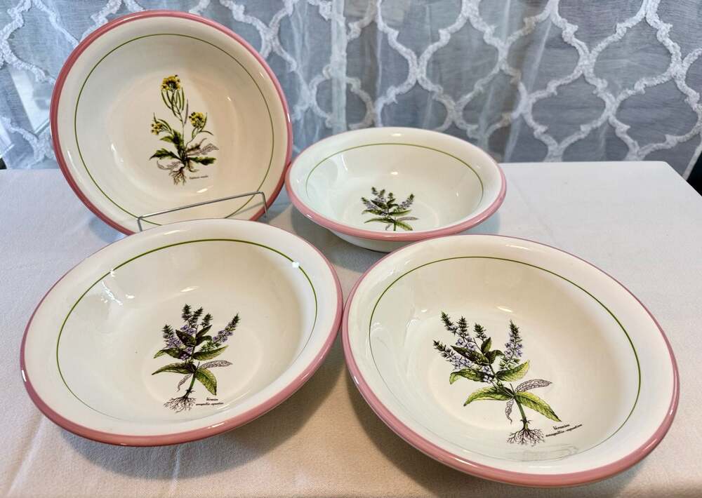 Set of 4 Large Primula Italian Botanical Soup Bowls - Picture 1 of 13